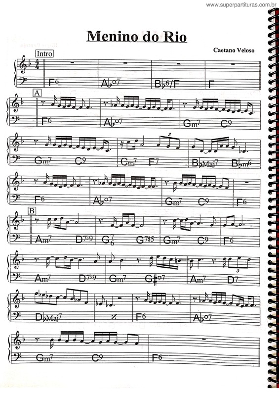 Super Partituras Menino Do Rio v.6